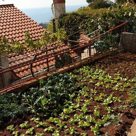 Appartement With Parking Space - 4673 Dubrovnik