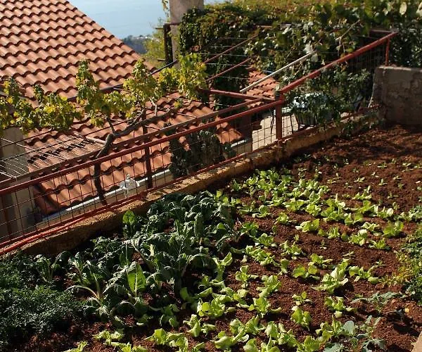 شقة With Parking Space - 4673 دوبروفينك